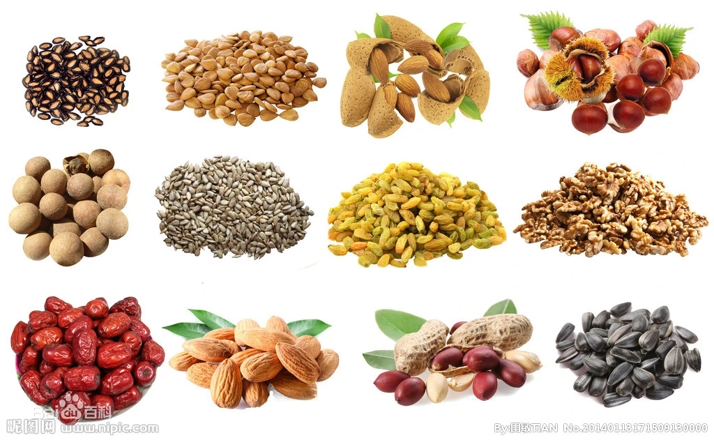 堅果炒貨機(jī)